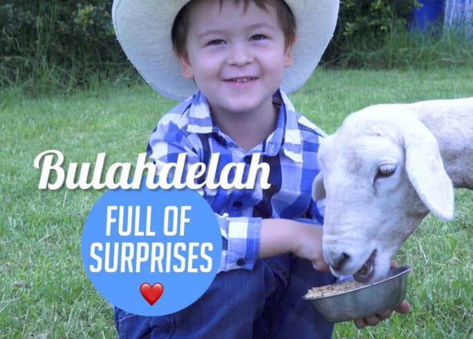 Bulahdelah Chamber of Commerce